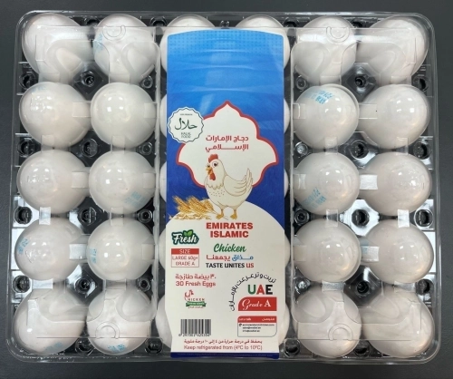 Premium Fresh Chicken Eggs 60g+